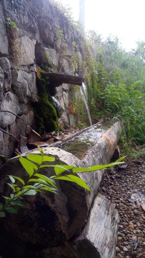 Hotel Rio Escabas, Serrania De Cuenca Cañamares Exteriör bild