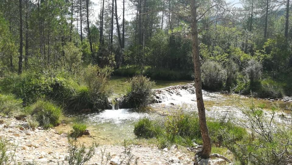 Hotel Rio Escabas, Serrania De Cuenca Cañamares Exteriör bild