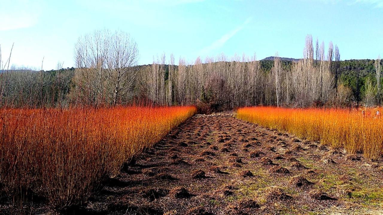 Hotel Rio Escabas, Serrania De Cuenca Cañamares Exteriör bild