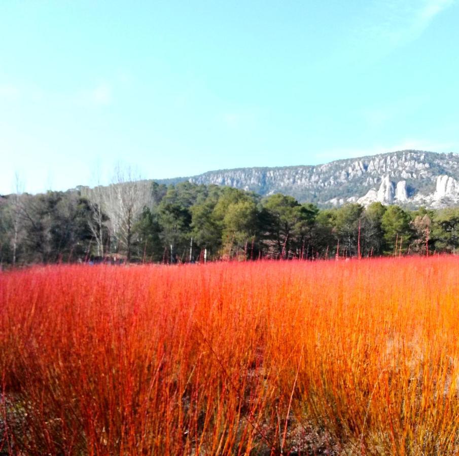 Hotel Rio Escabas, Serrania De Cuenca Cañamares Exteriör bild